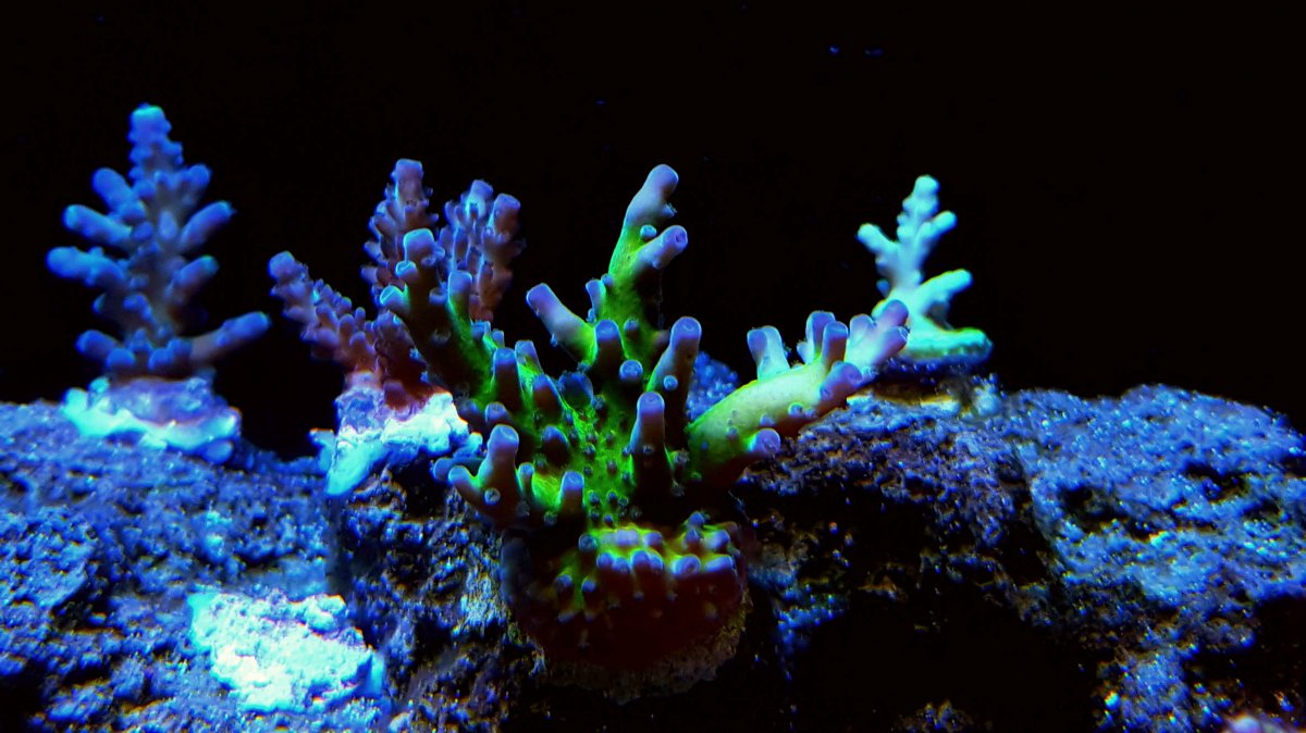 20170529_213343.jpg
