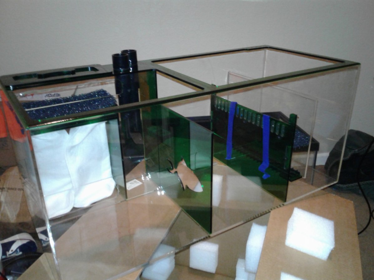 20170607_210330.jpg