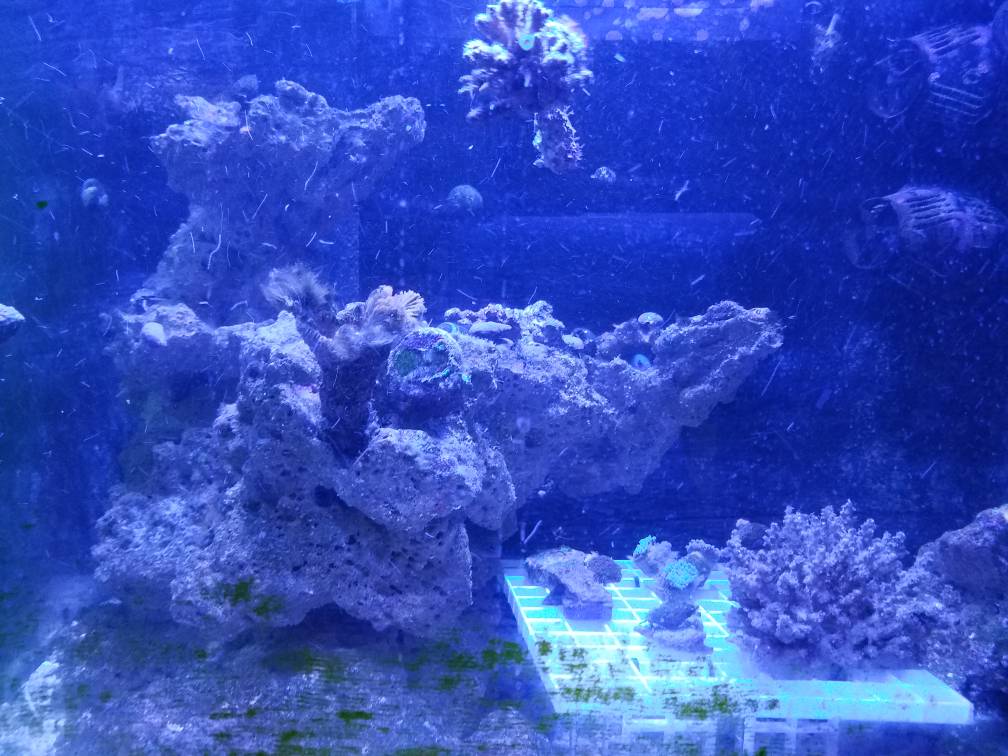20170616_192155.jpg