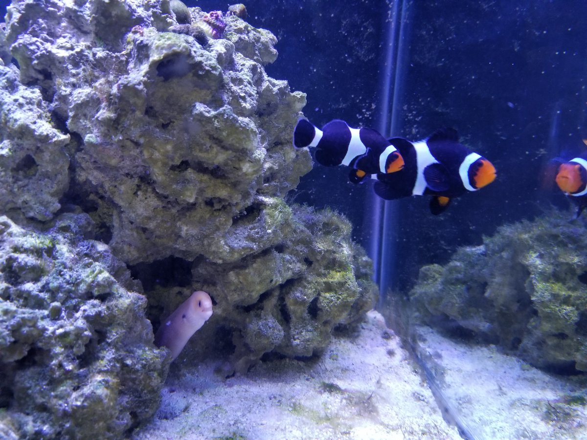 20170629_200439.jpg