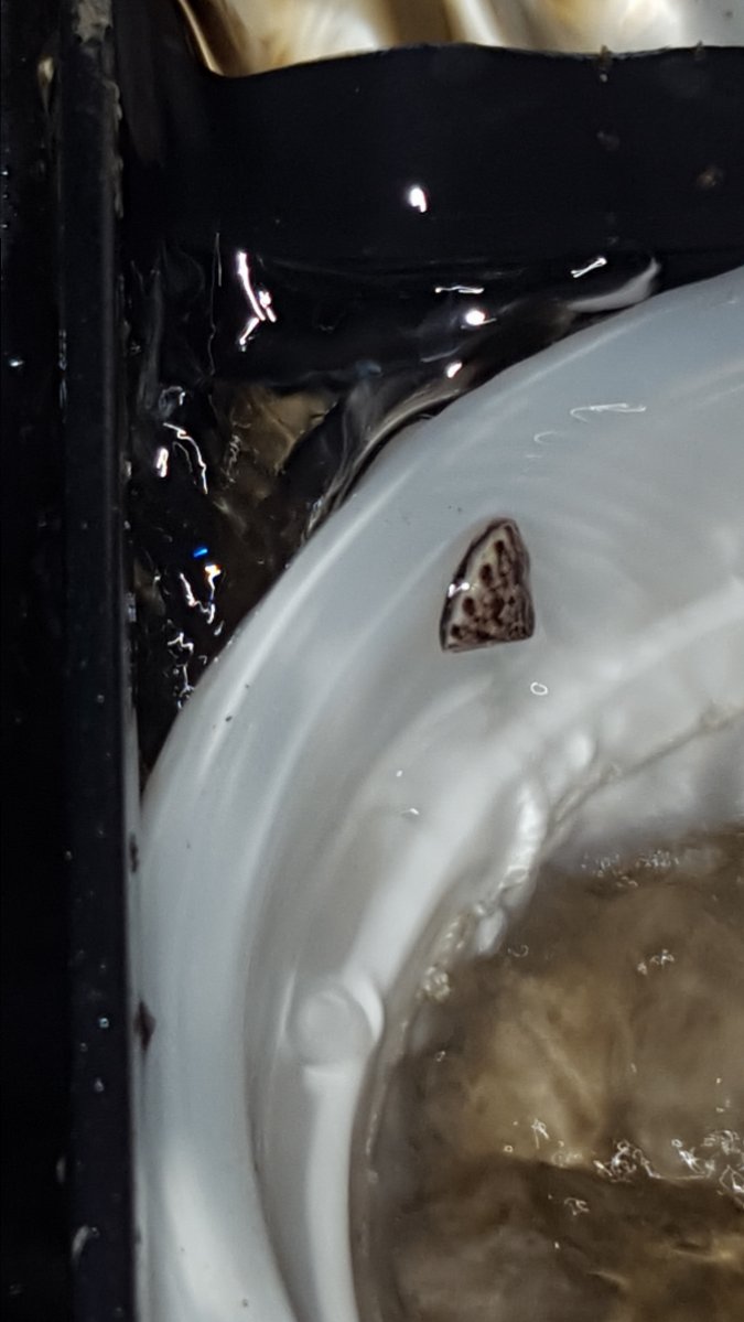 20170708_200311.jpg