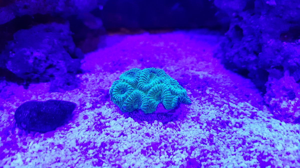 20170712_212013.jpg