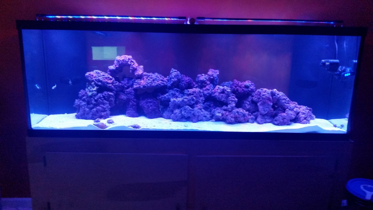 20170723_000129.jpg