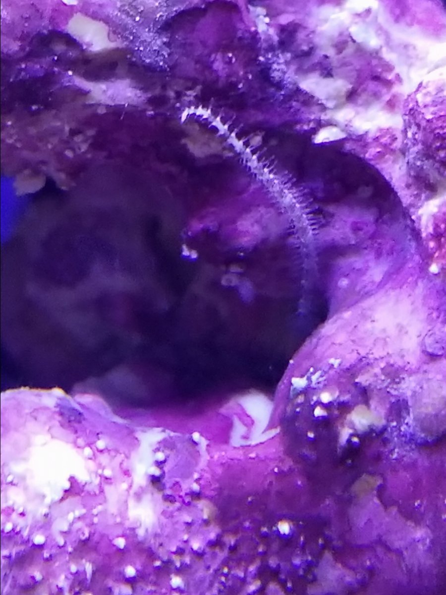 20170728_133319.jpg