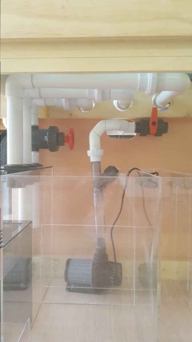 Show off your PVC plumbing skills | Page 9 | Reef2Reef