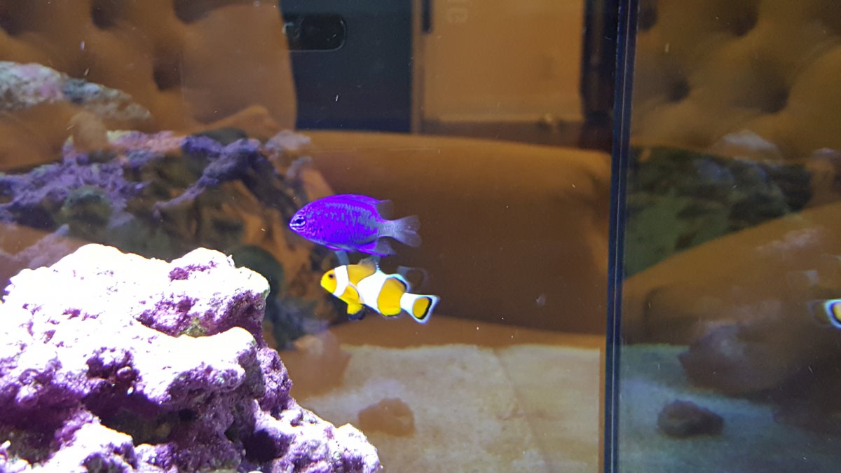20170728_203353.jpg