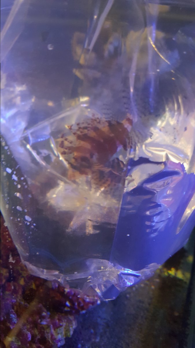 20170730_145658.jpg