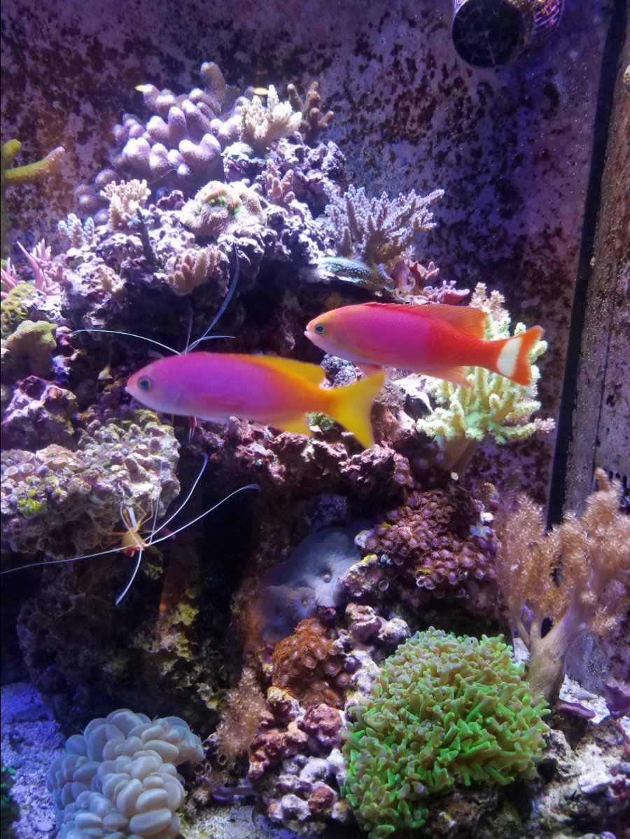 20170813_194654.jpg