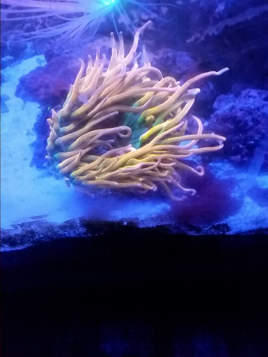 20170814_222222.jpg