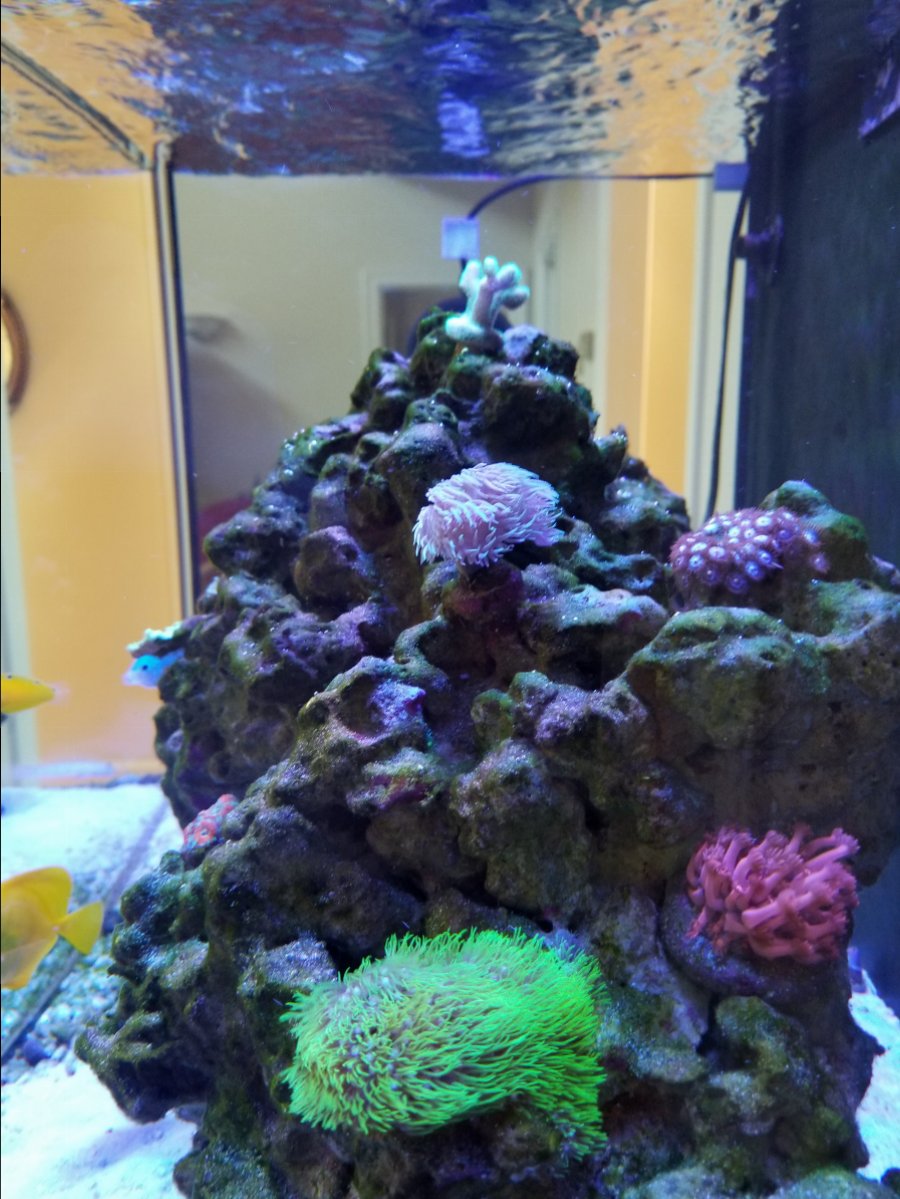 20170909_140240.jpg