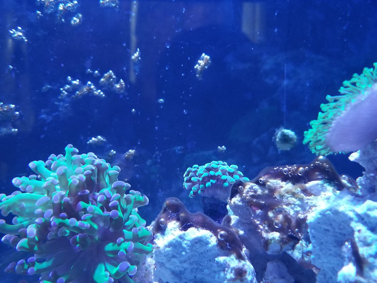 20170910_121829.jpg