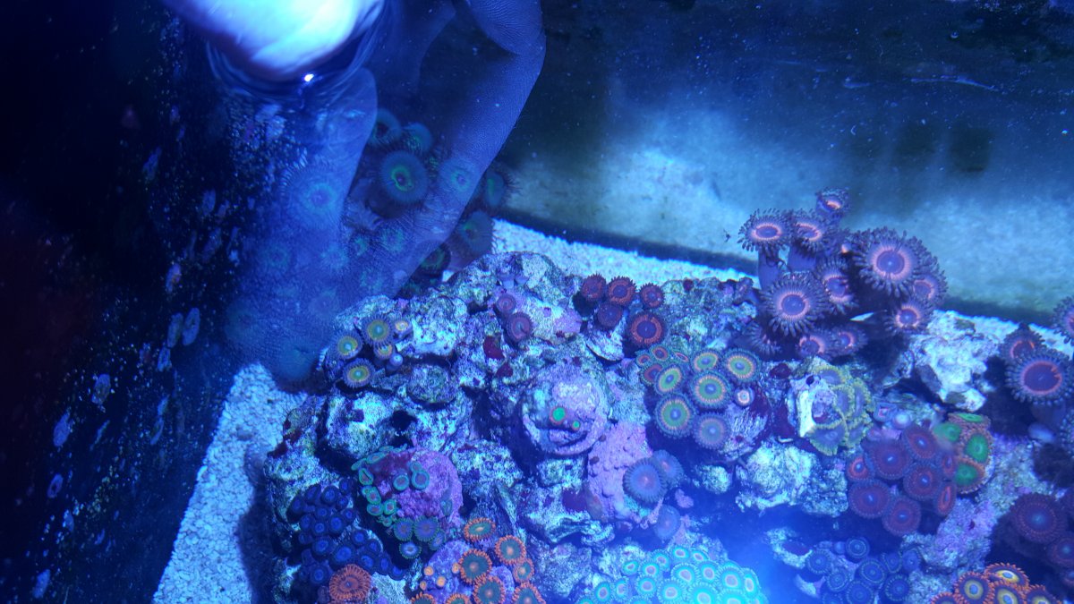 20170913_120427.jpg