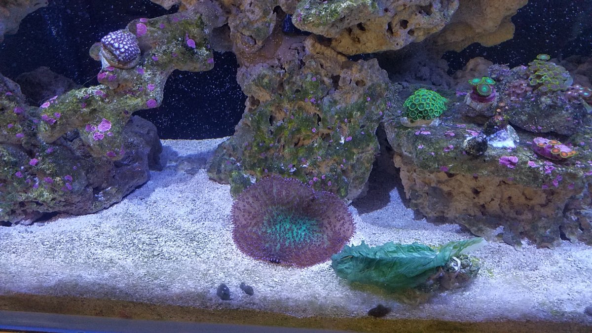 20170923_150809.jpg