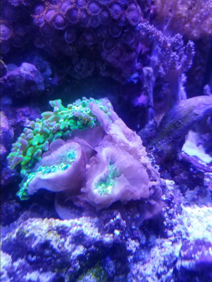 20170927_190044.jpg
