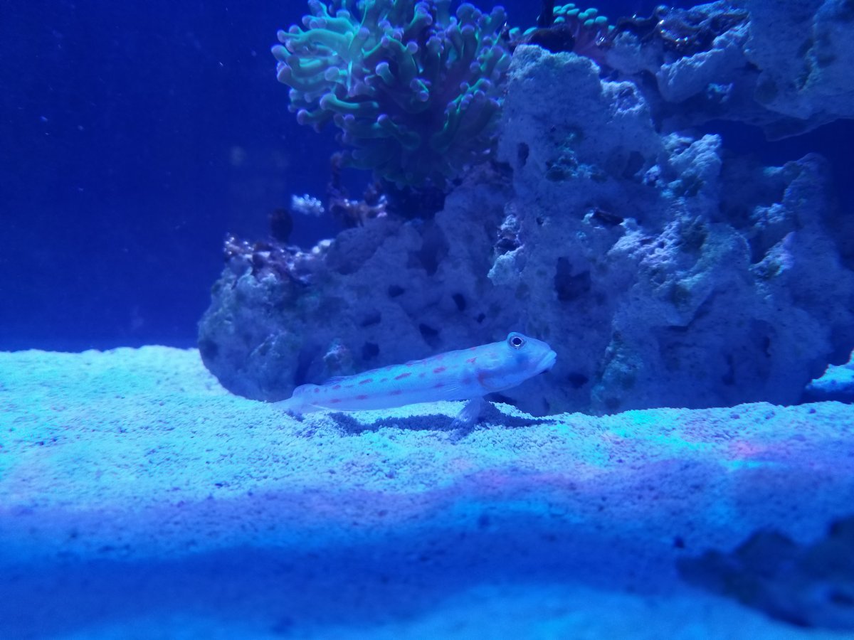 20170928_174249.jpg