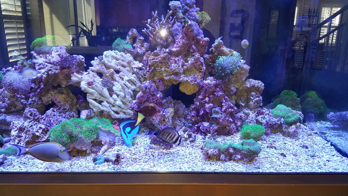 20171001_095101.jpg