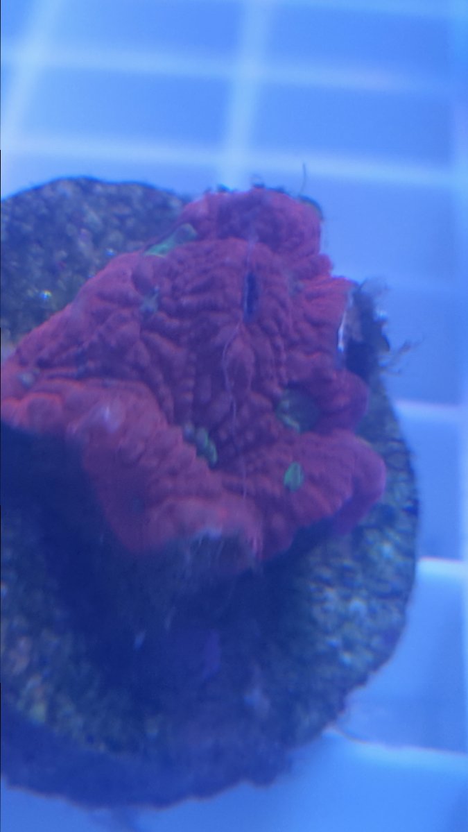 20171001_172656.jpg