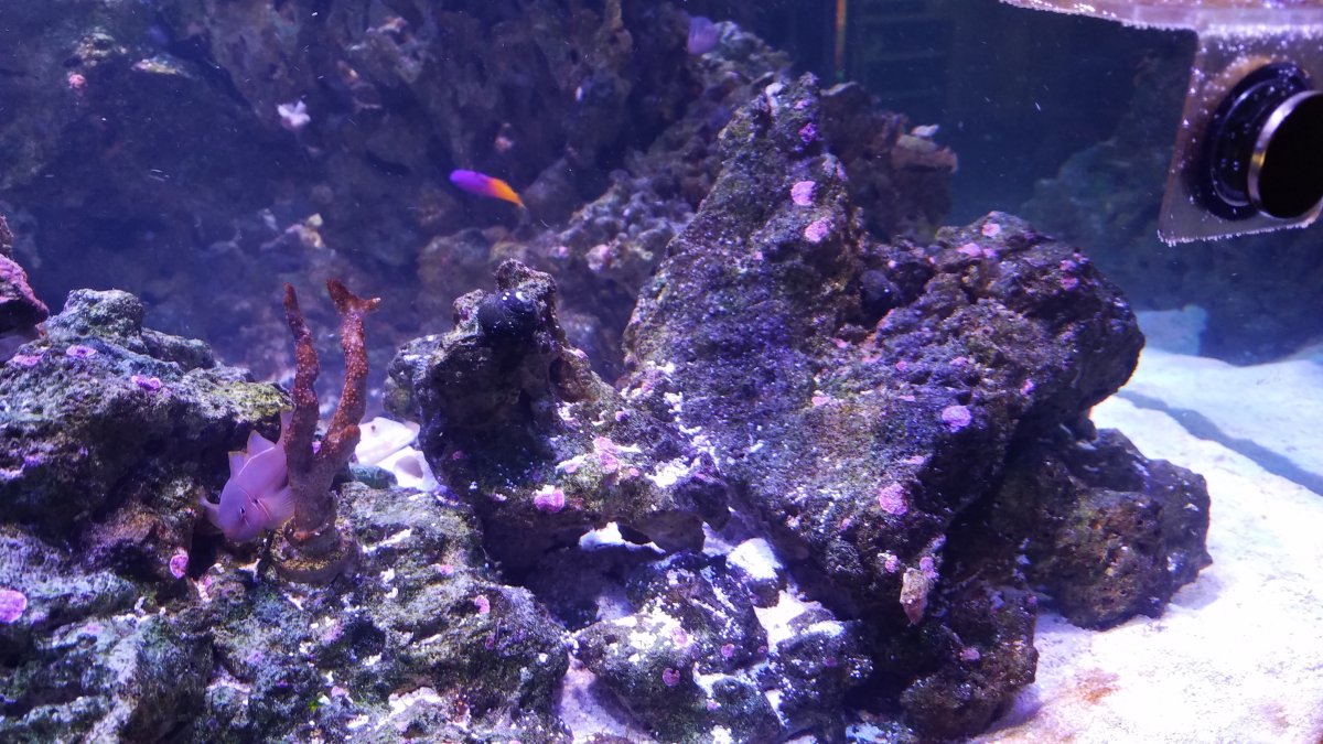 20171002_112135.jpg