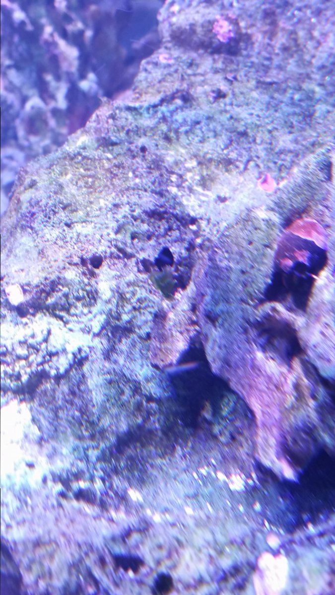 20171002_155451.jpg