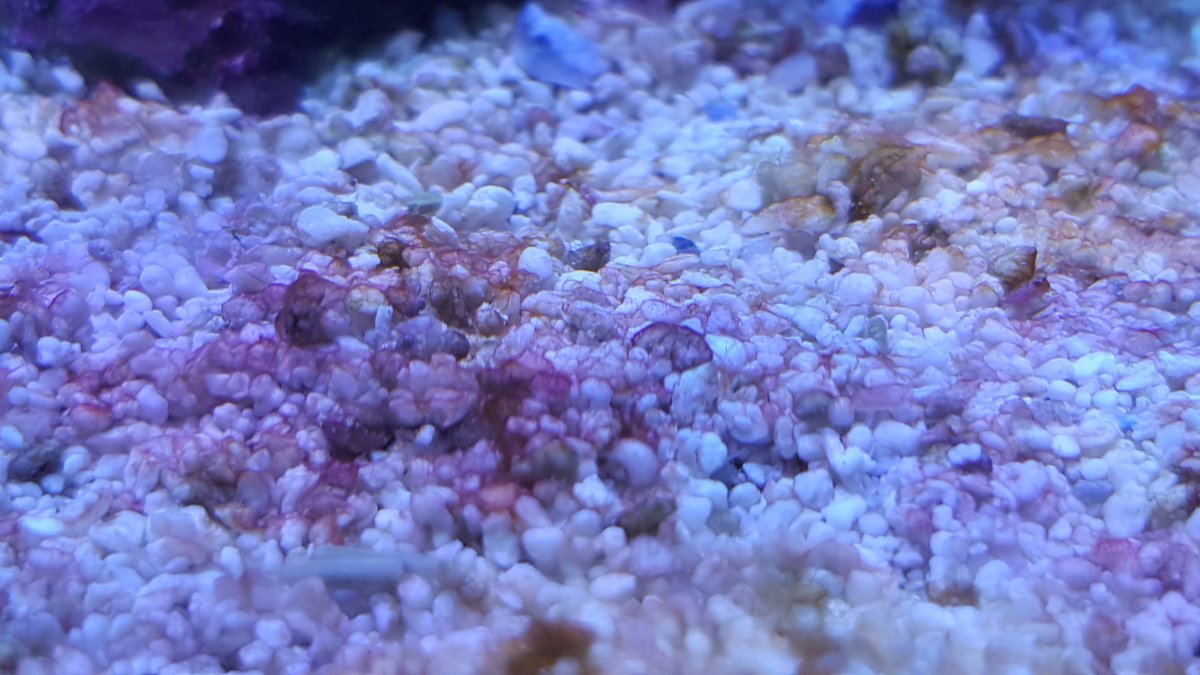 20171003_171559.jpg