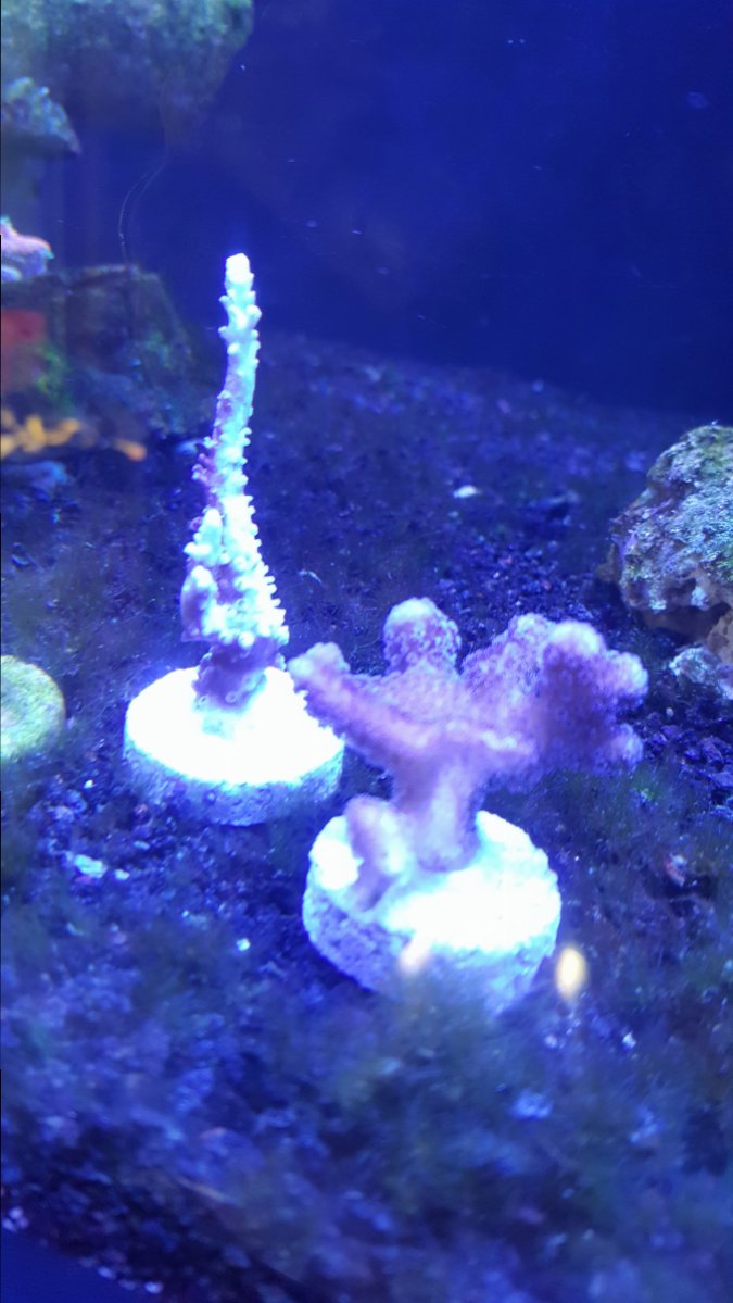 20171003_173420.jpg