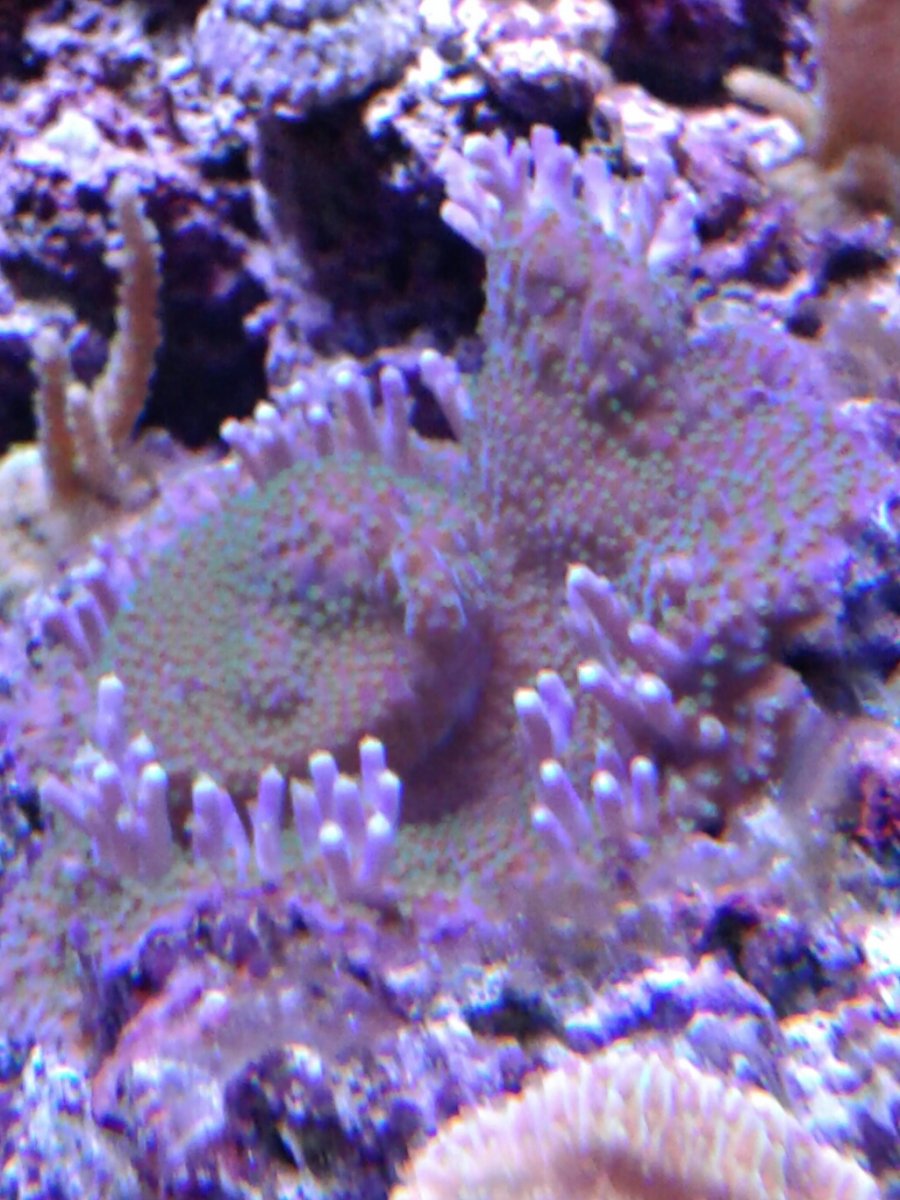 20171003_191805.jpg