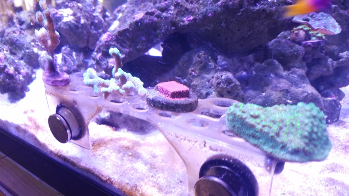 20171004_083442.jpg
