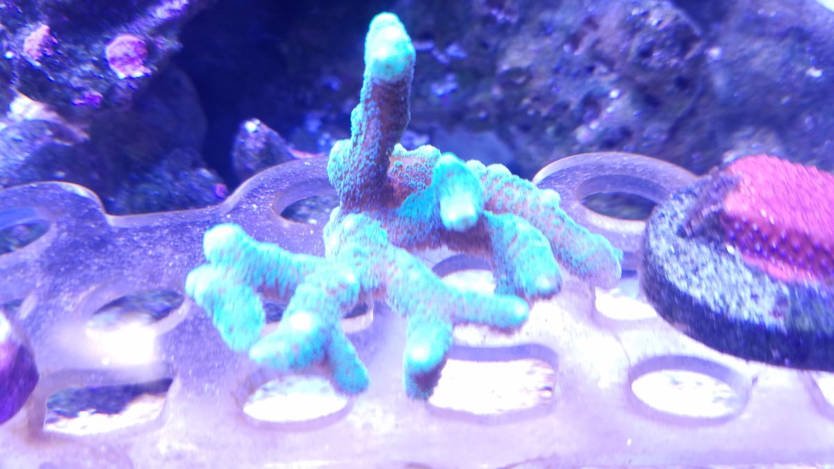 20171004_083550.jpg