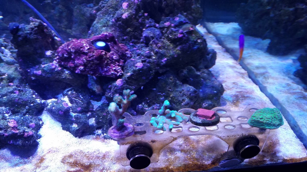 20171004_103424.jpg