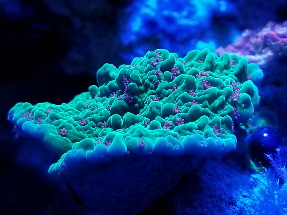 20171004_215853.jpg