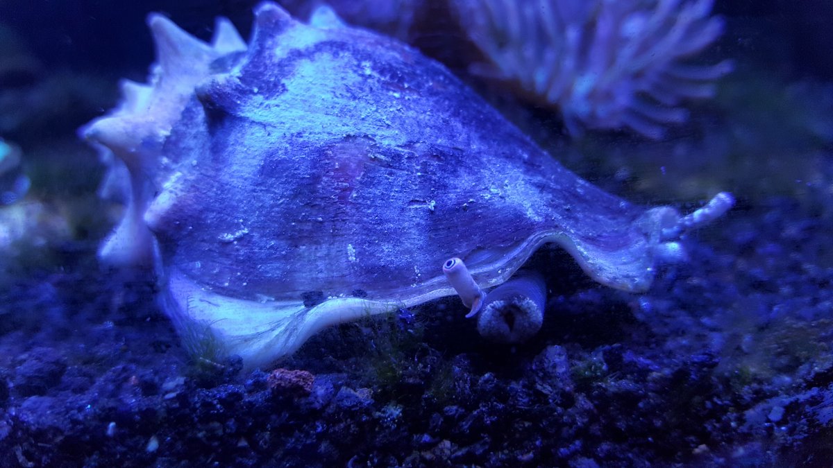 20171005_172838.jpg