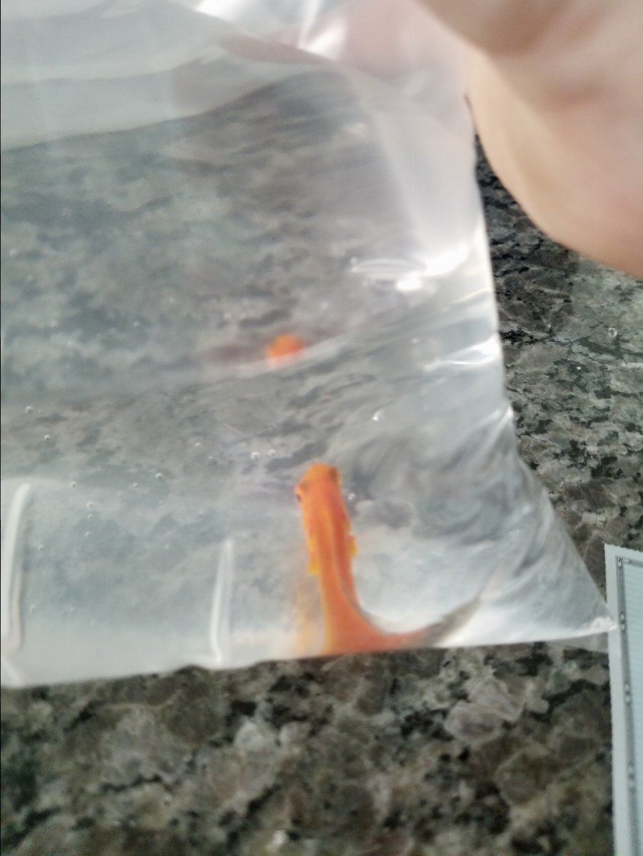20171006_120820.jpg