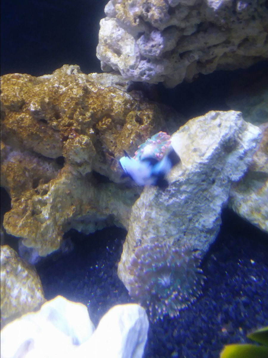 20171006_202906.jpg