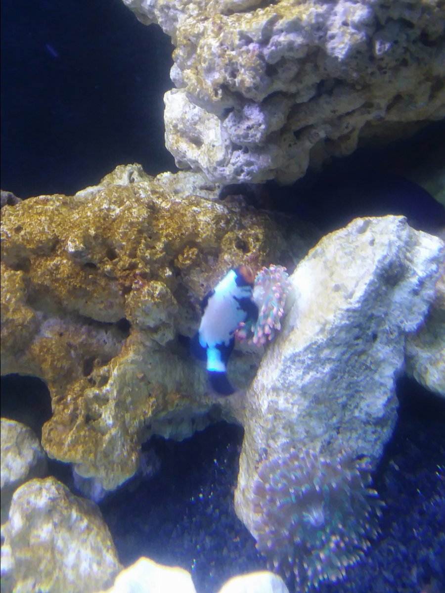 20171006_202913.jpg