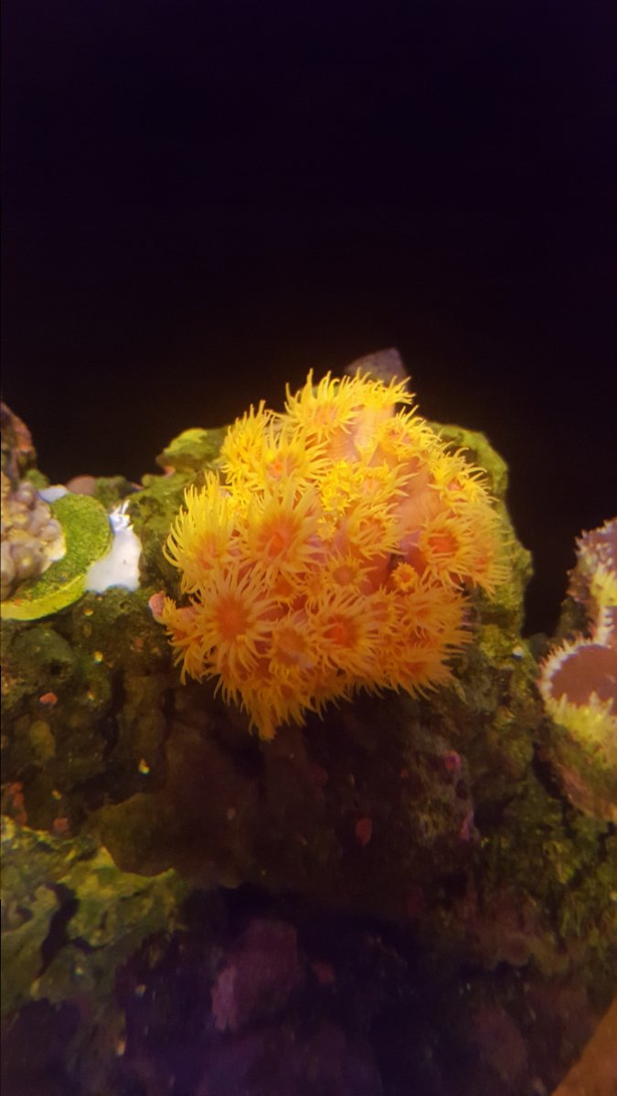 20171007_010328.jpg