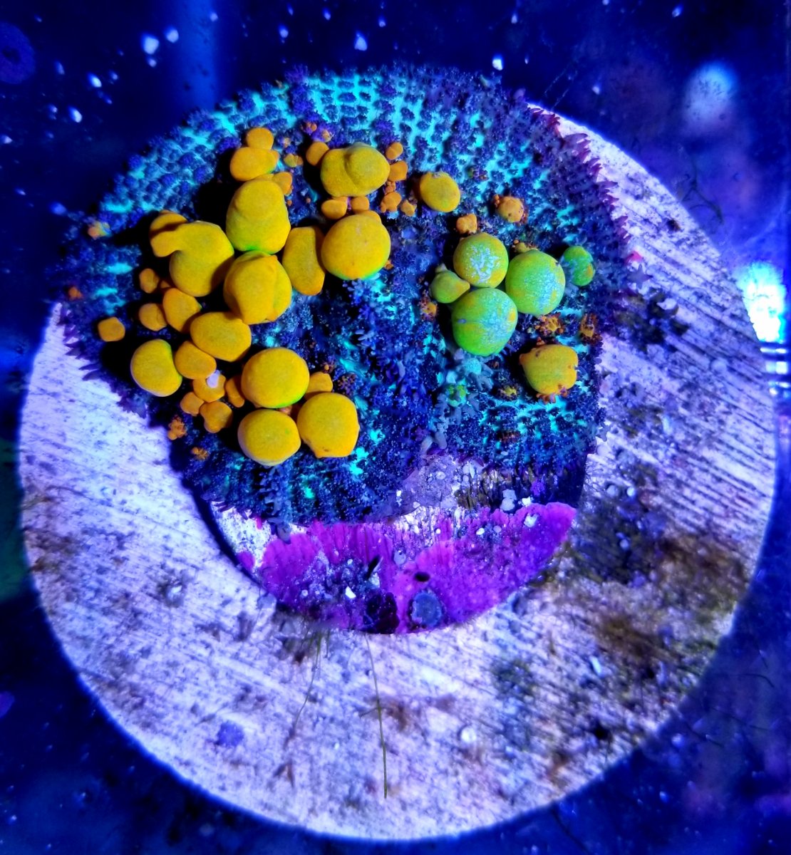 20171007_071506.jpg