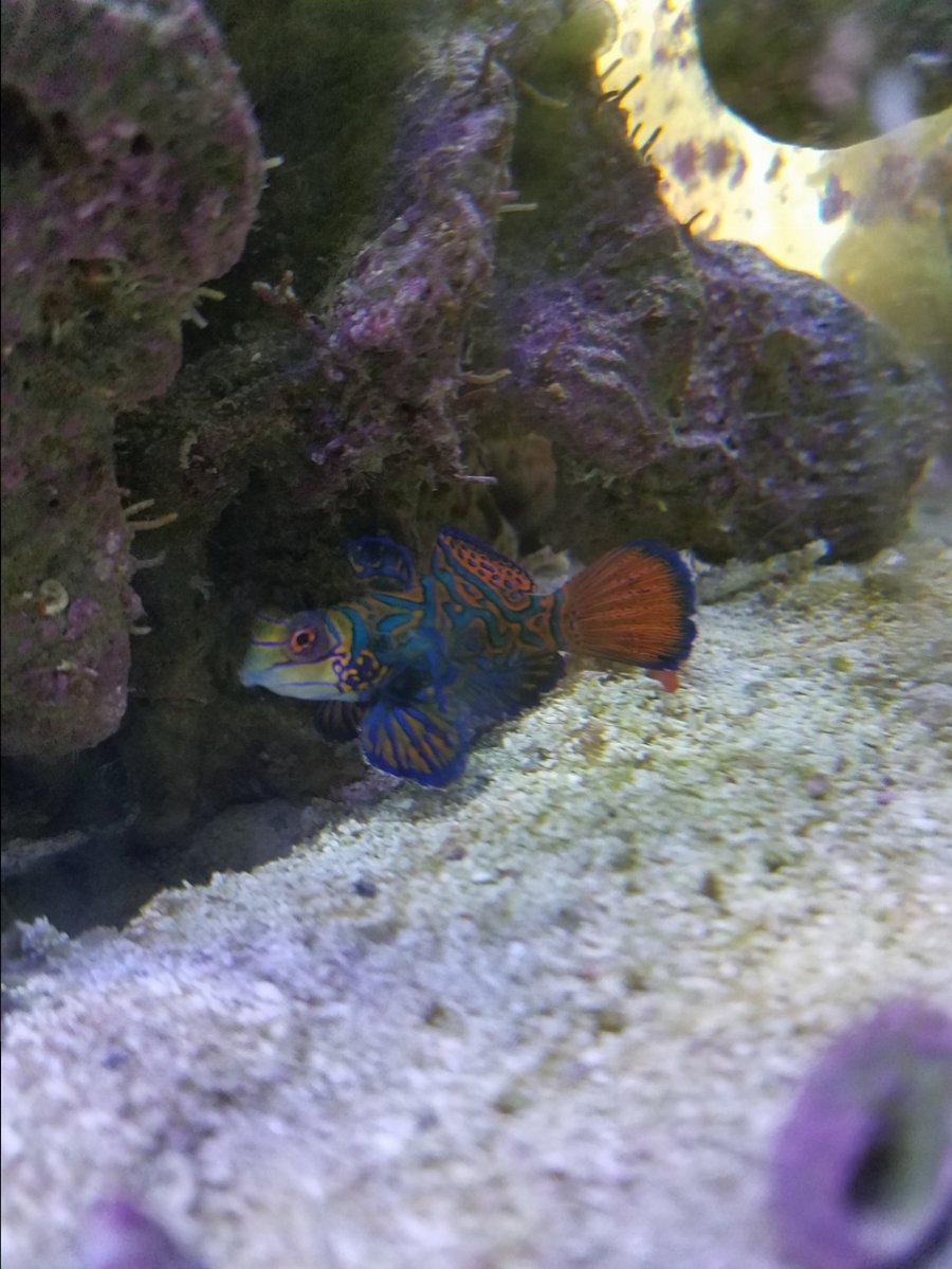 20171007_122928.jpg
