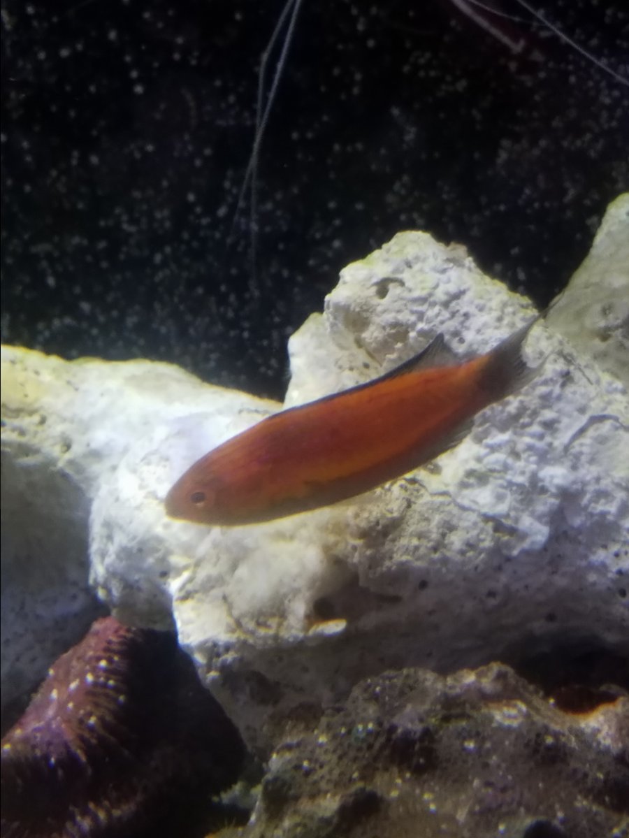 20171008_125558.jpg