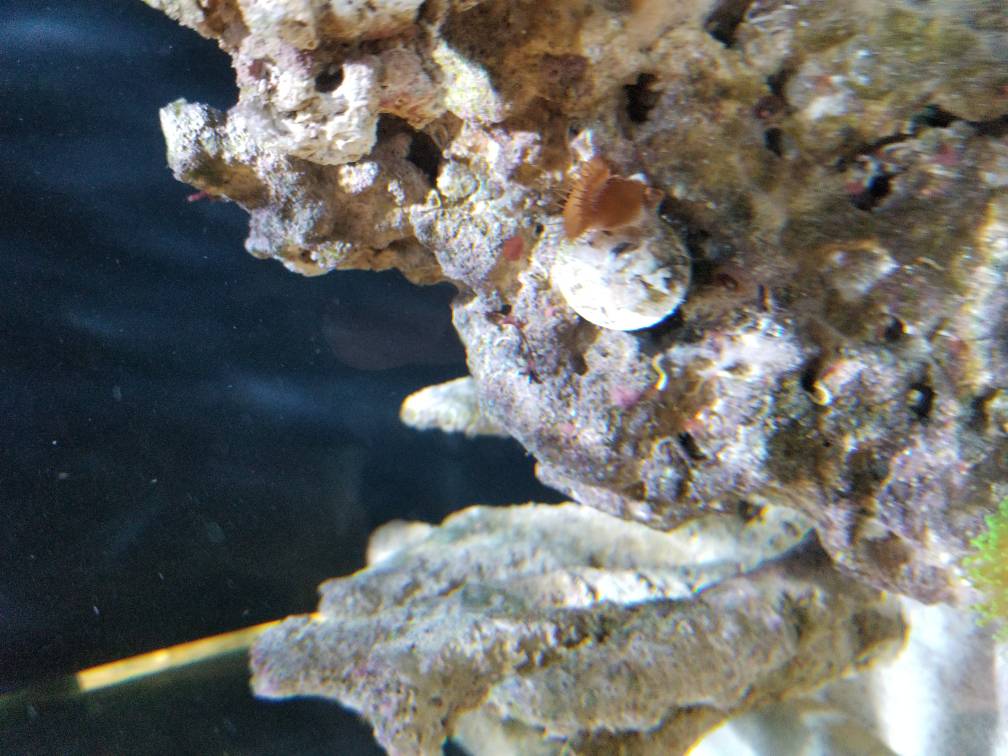 20171008_145703.jpg