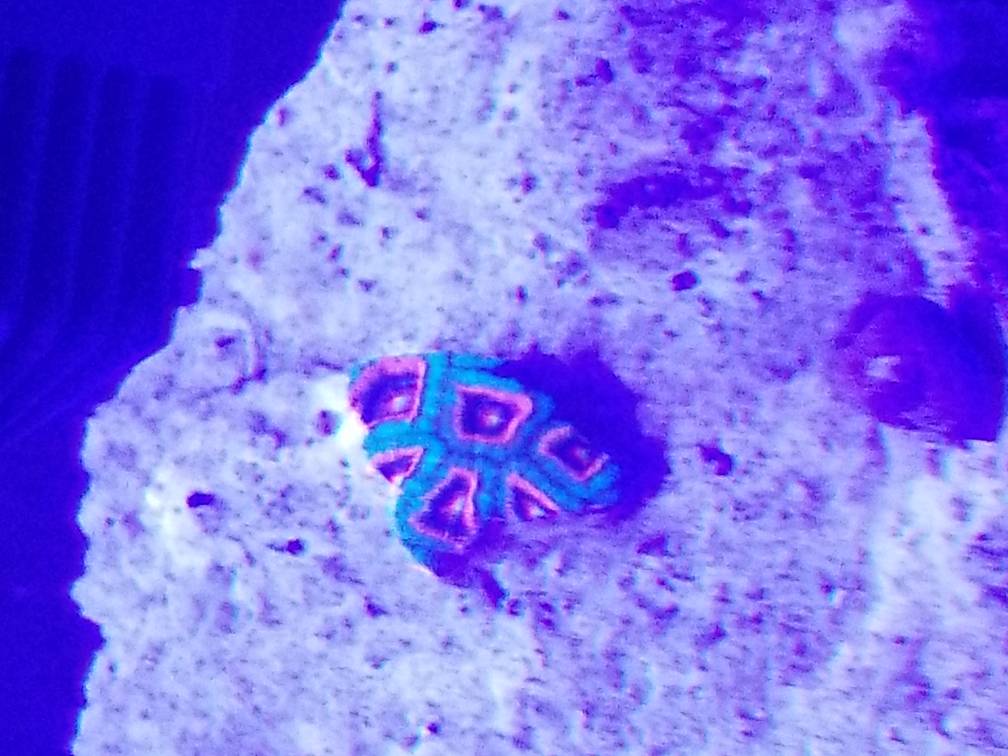 20171010_123734.jpg