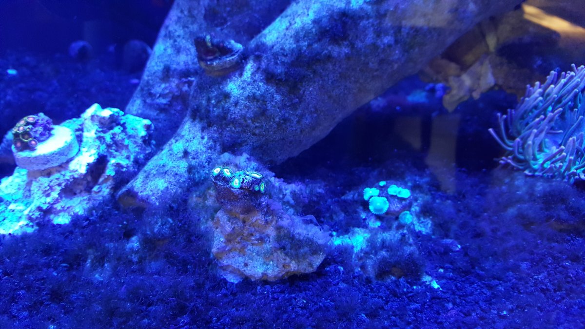 20171011_111247.jpg
