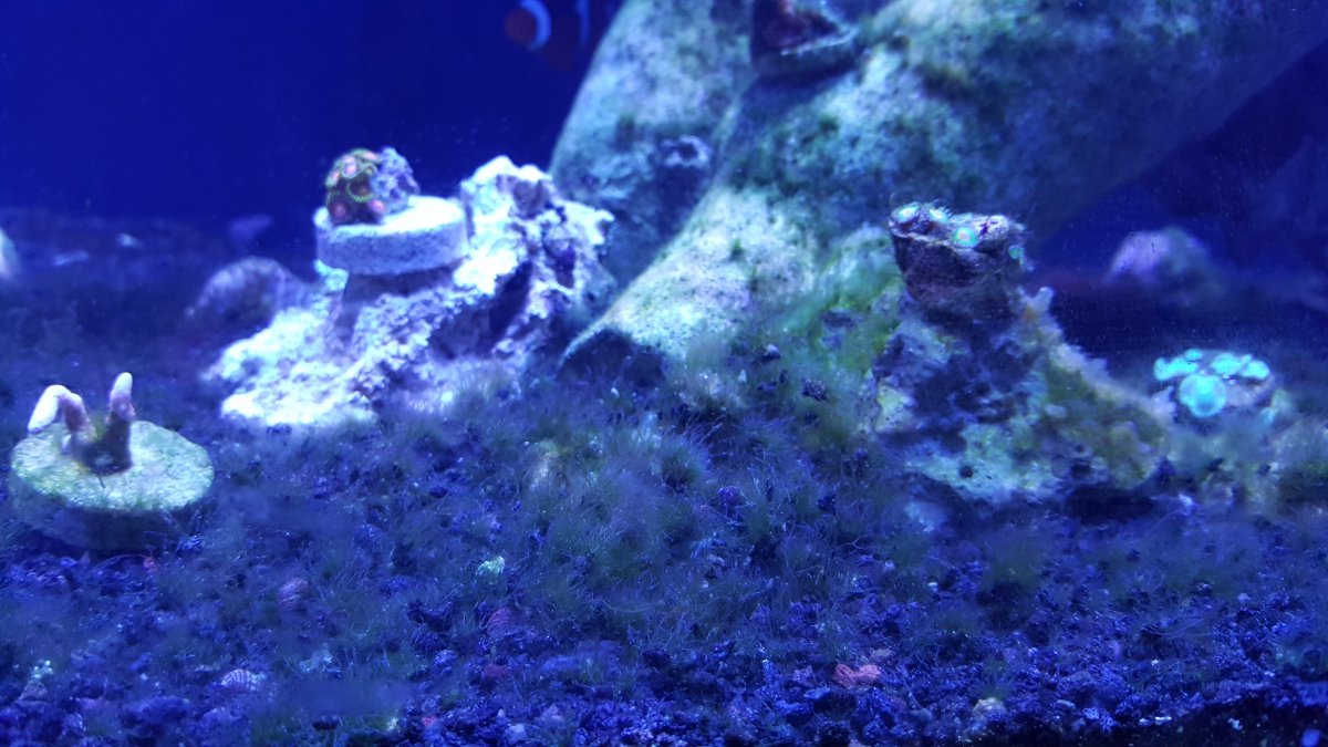 20171011_173129.jpg