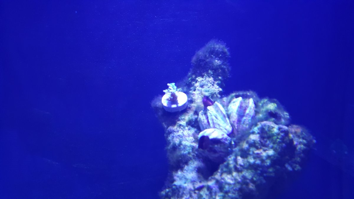 20171011_173138.jpg