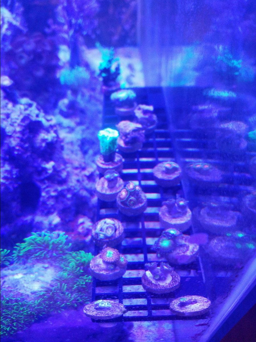20171014_150413.jpg