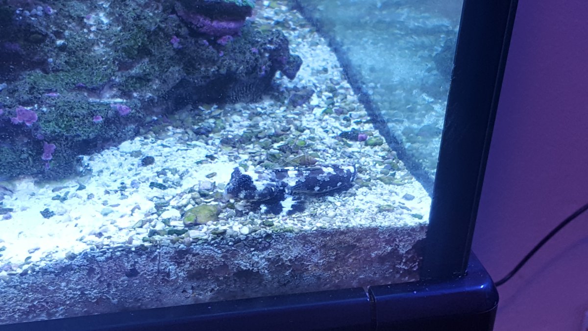 20171014_185046.jpg