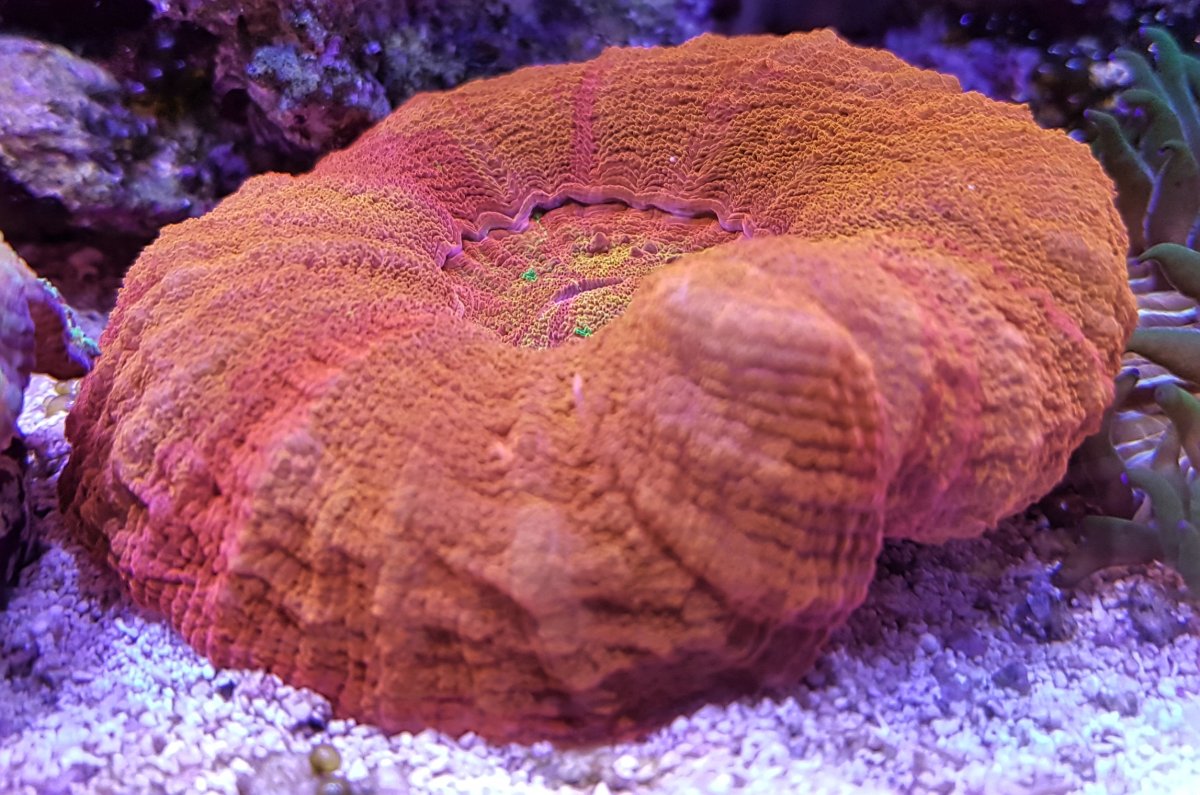 20171015_165432.jpg