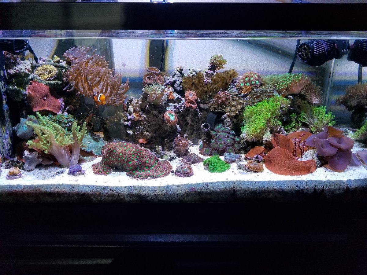 20171017_154132.jpg