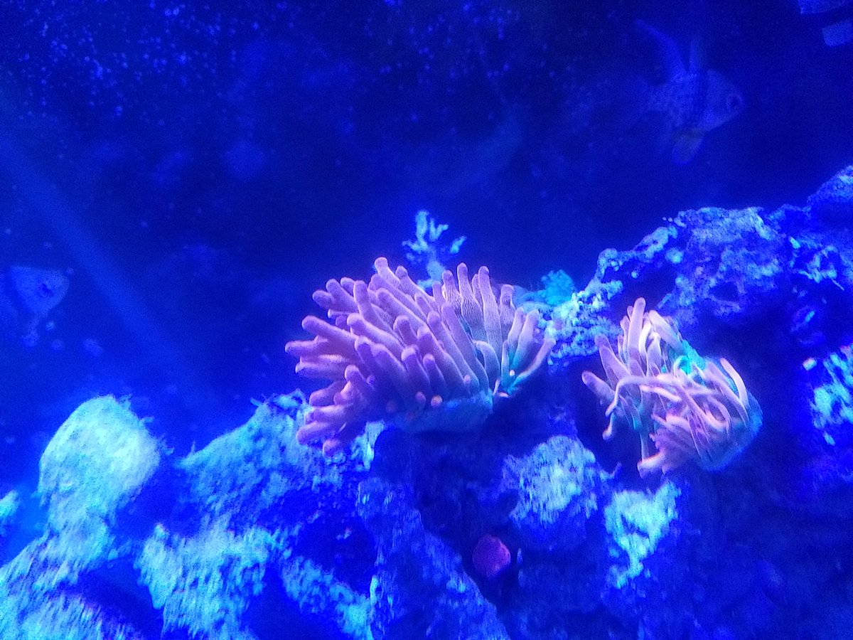 20171017_211309.jpg