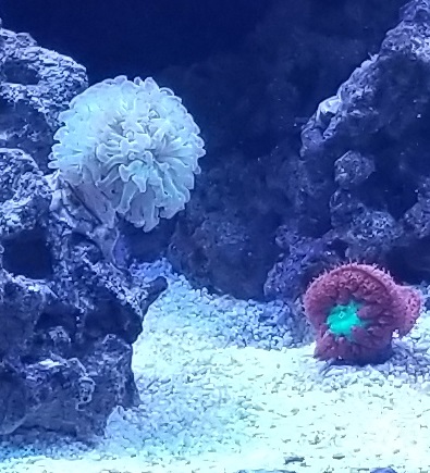 20171019_151423.jpg