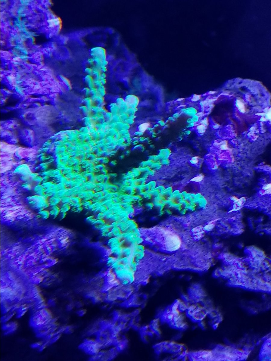 20171027_180116.jpg